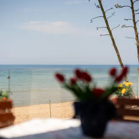 Nini Punta Secca